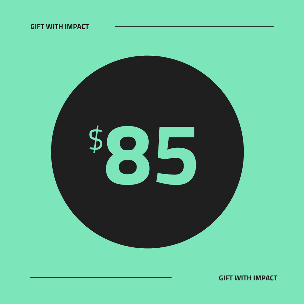 $85 Gift With Impact
