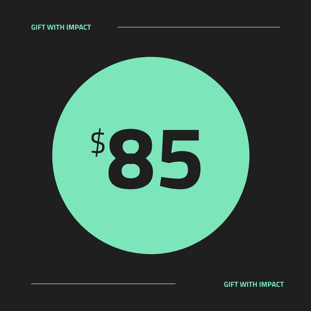 $85 Gift With Impact